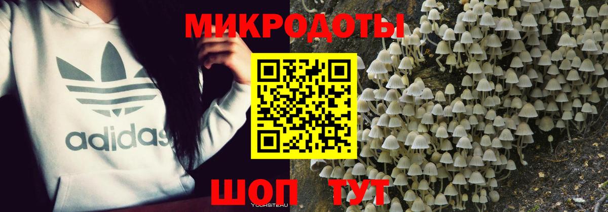 Галлюциногенные грибы GOLDEN TEACHER  Галлюциногенные грибы Magic Shrooms  Вход с VPN  Алексин 